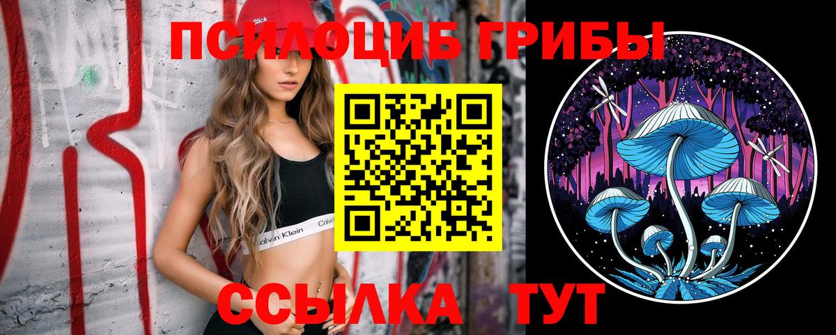 Галлюциногенные грибы Psilocybine cubensis Мыски
