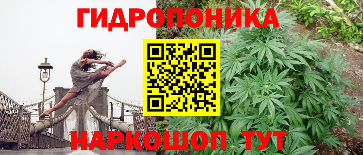 Бошки марихуана LSD WEED Мыски